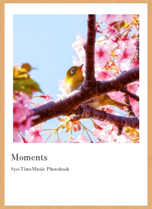 🌸2025 春の新譜🌸 Moments - 2nd Original Album(CD+フォトブック)