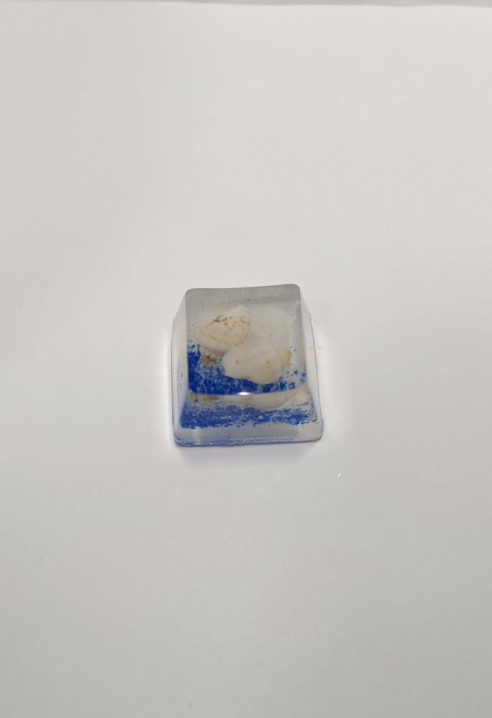 貝殻 青白 キーキャップ