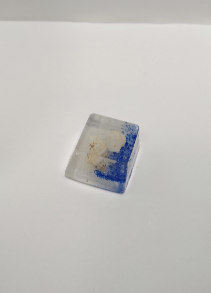 貝殻 青白 キーキャップ