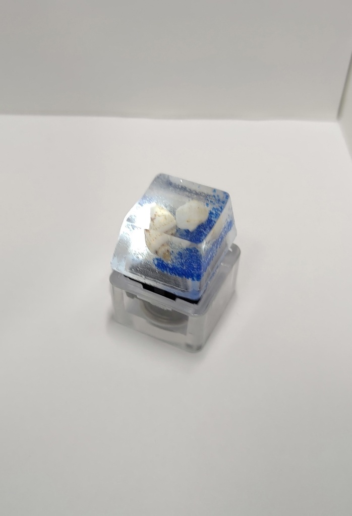 貝殻 青白 キーキャップ