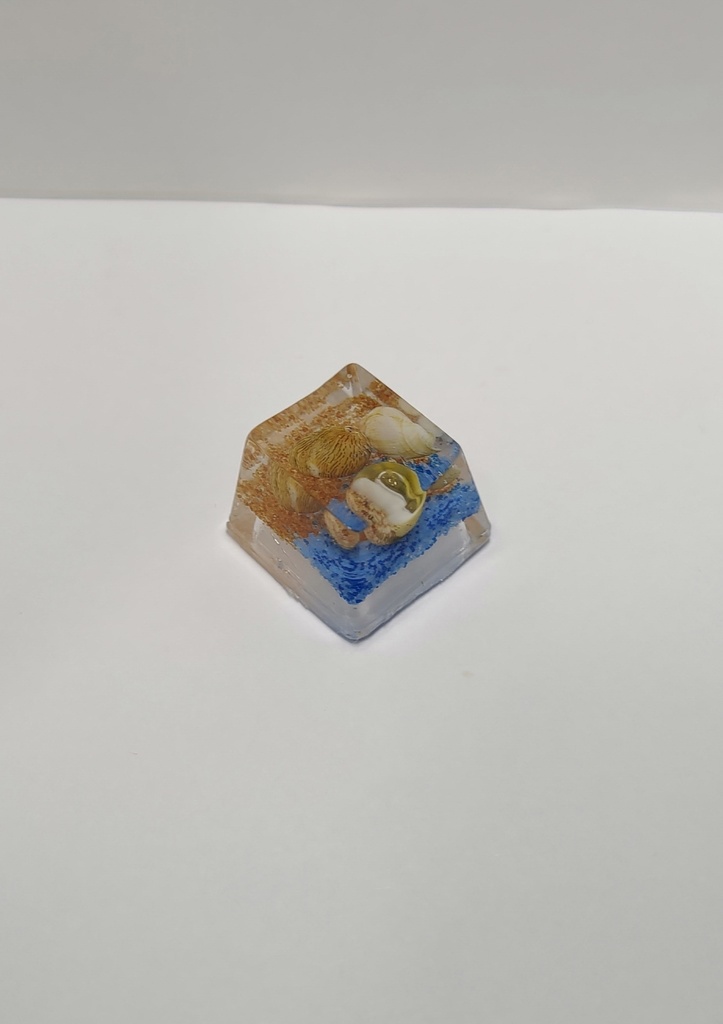 貝殻 茶青 キーキャップ