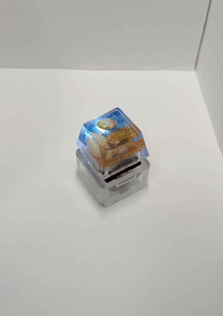 貝殻 茶青 キーキャップ