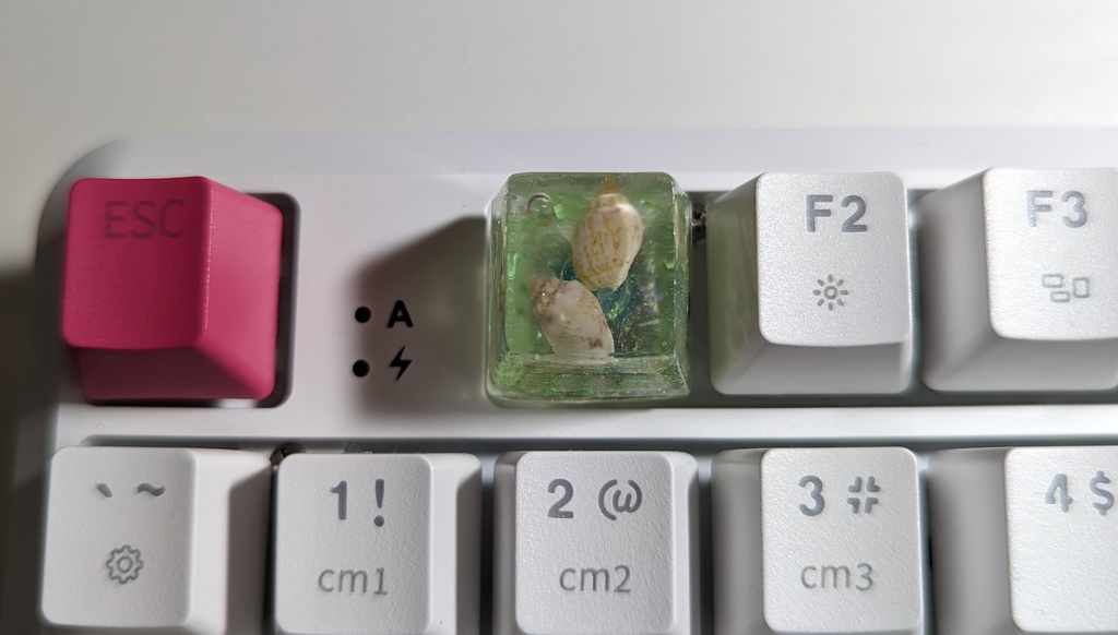 貝GR キーキャップ