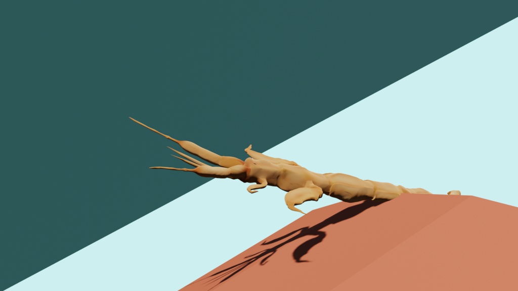 【無料】ワレカラ(Caprella.sp)