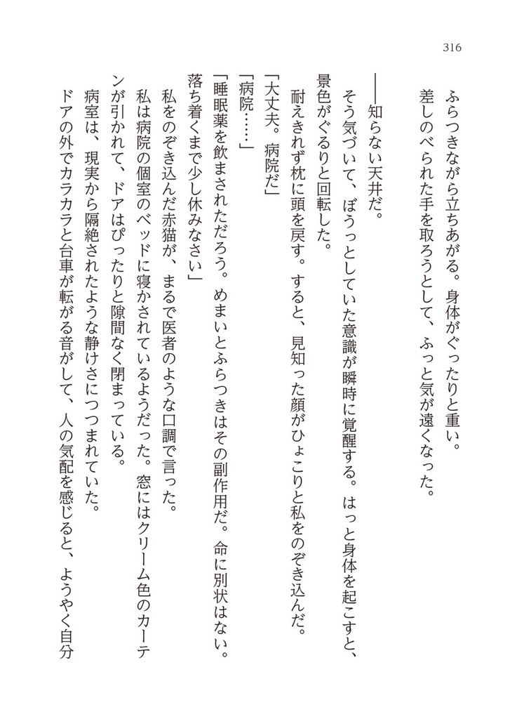 探偵赤猫 ストレイキャット・ブルース