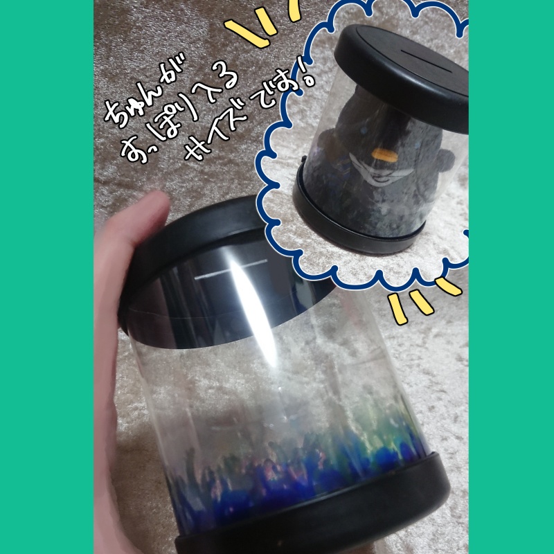 貯金箱 or LIVE STAGE