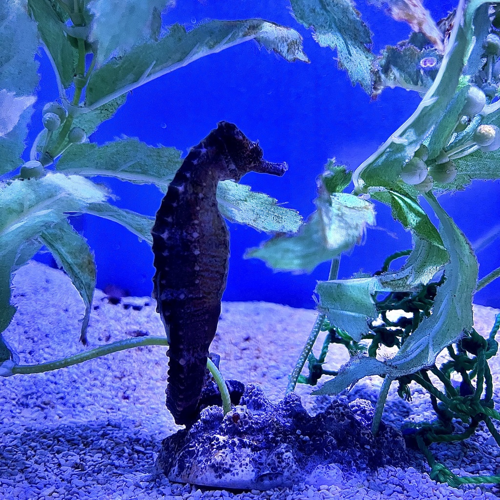 タカクラタツ(01)