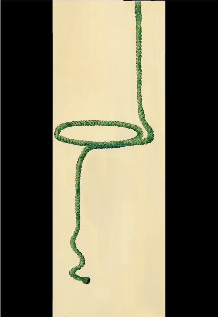 【ポストカード】緊縛シリーズ