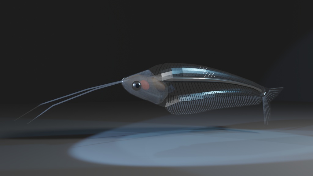 無料版あり トランスルーセントグラスキャットフィッシュ(Kryptopterus bicirrhis) 3Dモデル