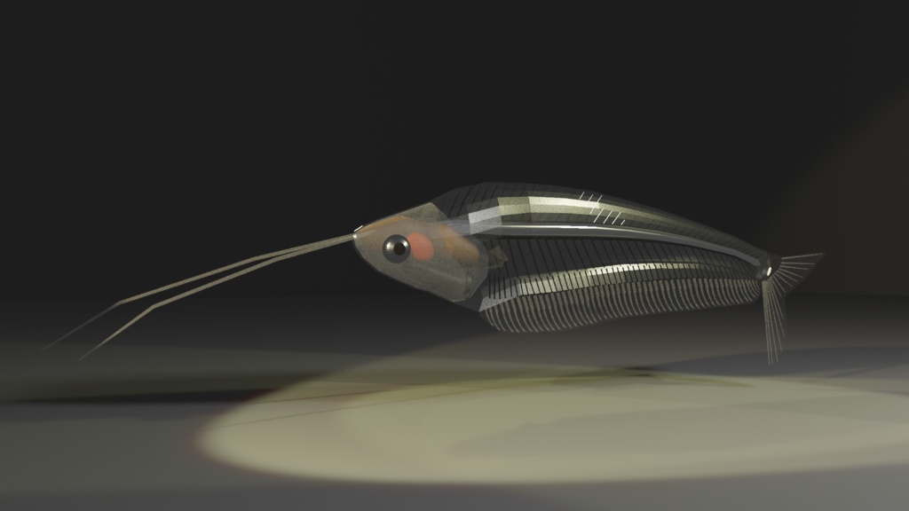 無料版あり トランスルーセントグラスキャットフィッシュ(Kryptopterus bicirrhis) 3Dモデル