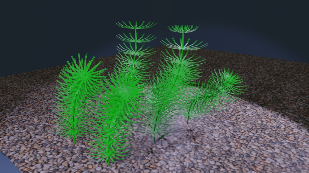 無料版あり マツモ(Ceratophyllum demersum) 3Dモデル