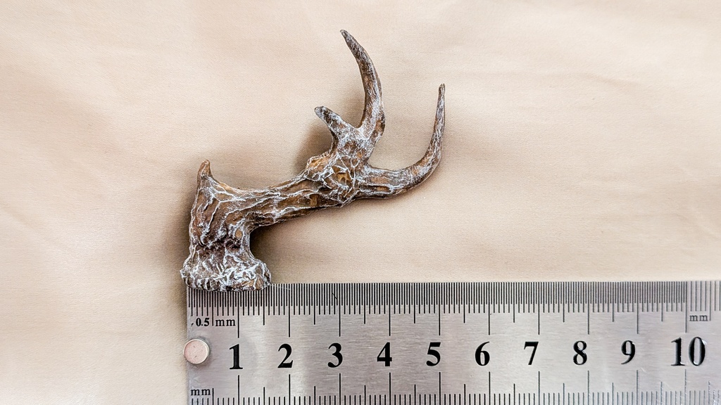▼ドール用ツノパーツ【シカ】