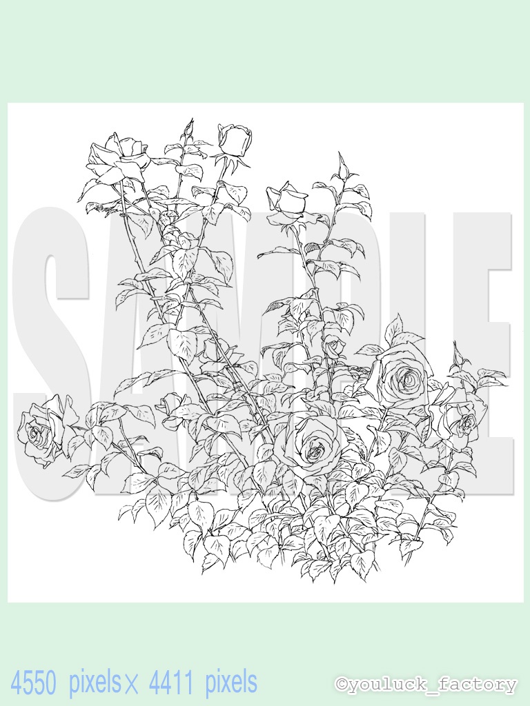 yl03_bouquet_02-03-rose_01.zip