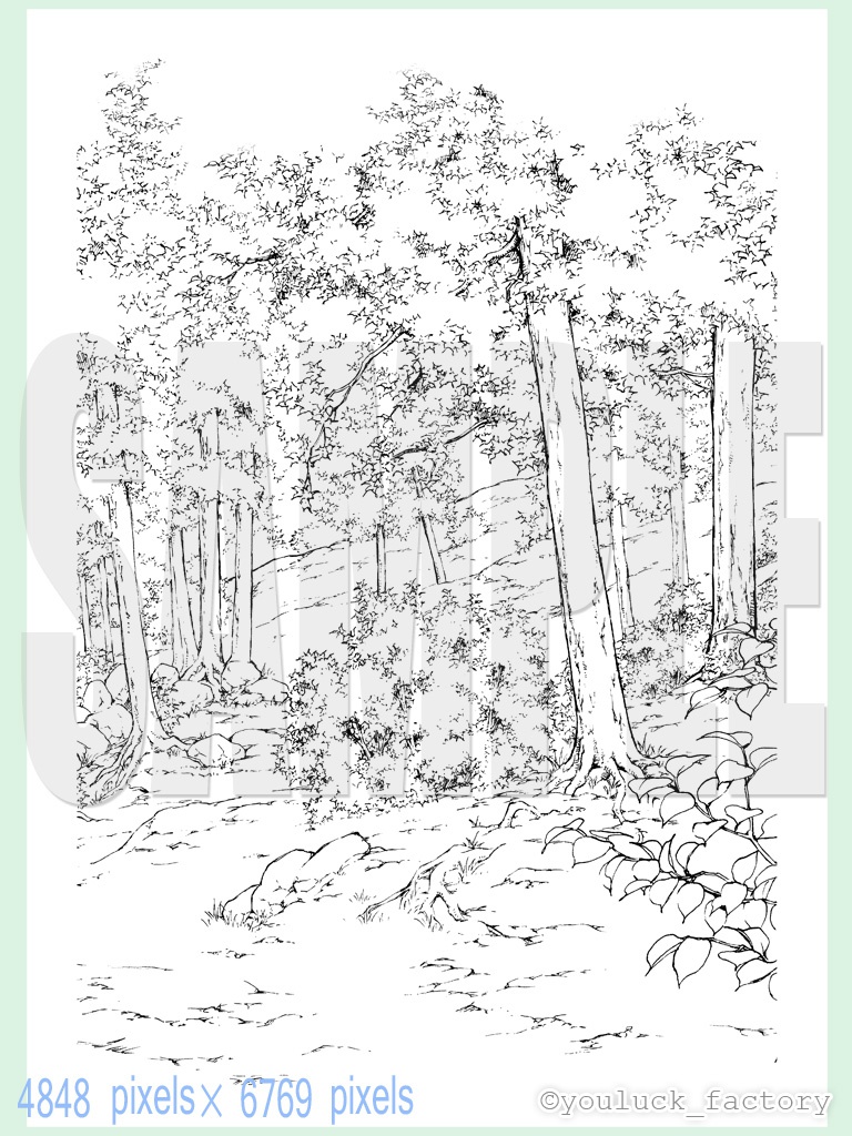yl03_forest_01.zip