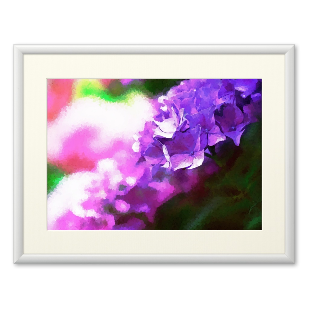 紫陽花 プリモアート