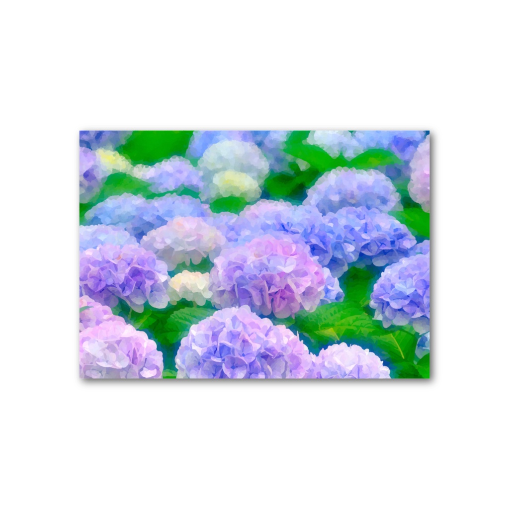 紫陽花の群生 フォト風カード