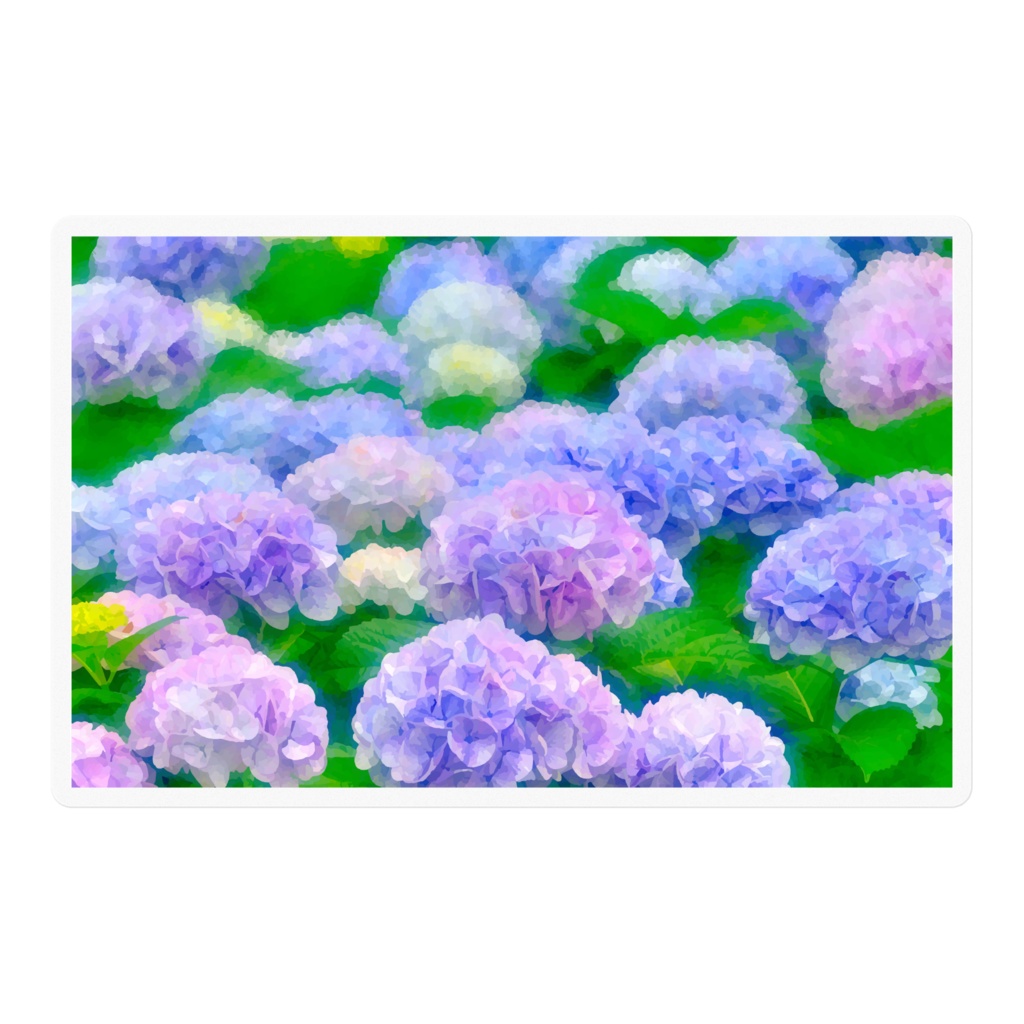 紫陽花の群生 ステッカー