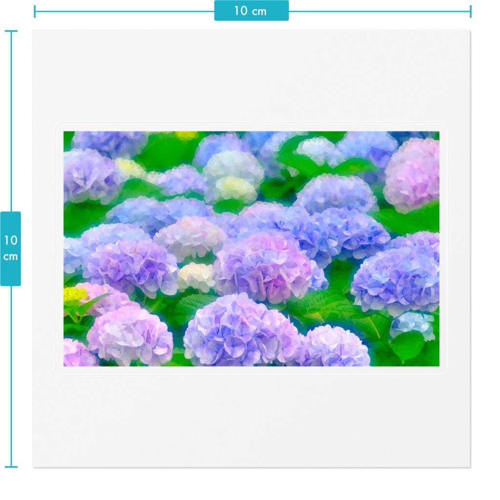 紫陽花の群生 ステッカー
