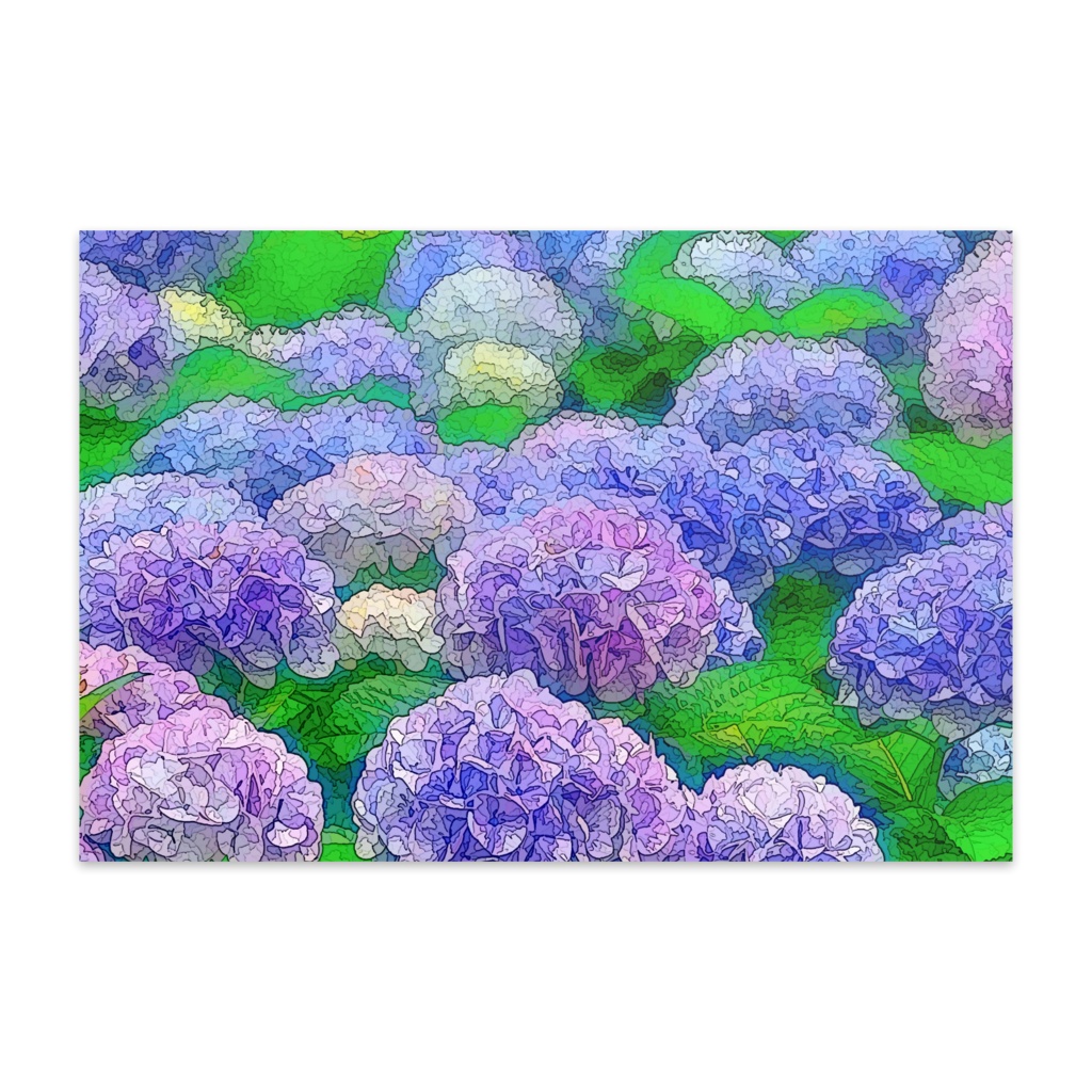 紫陽花の群生 ポストカード