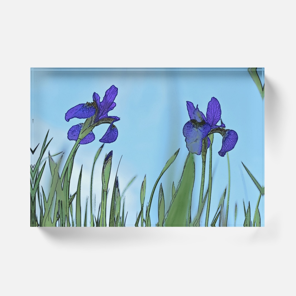 花菖蒲 アクリルブロック