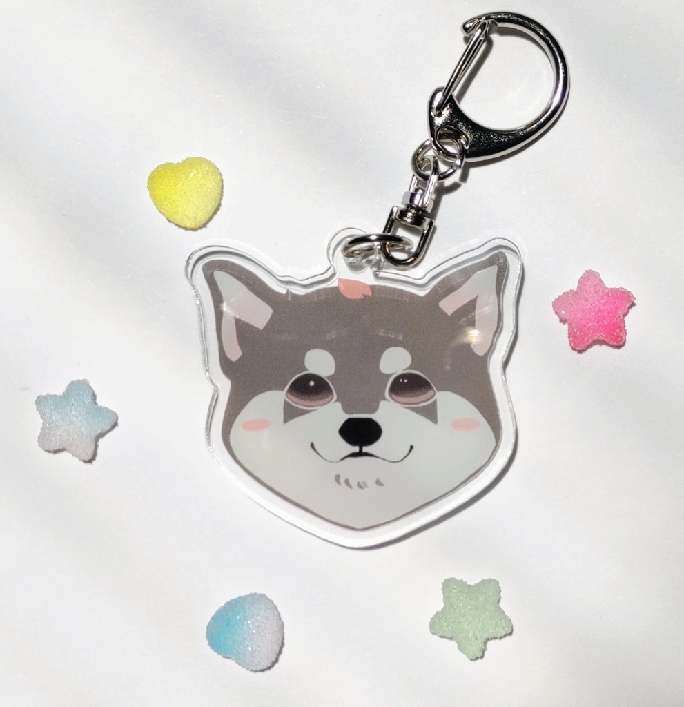 柴犬（桜のせ）
