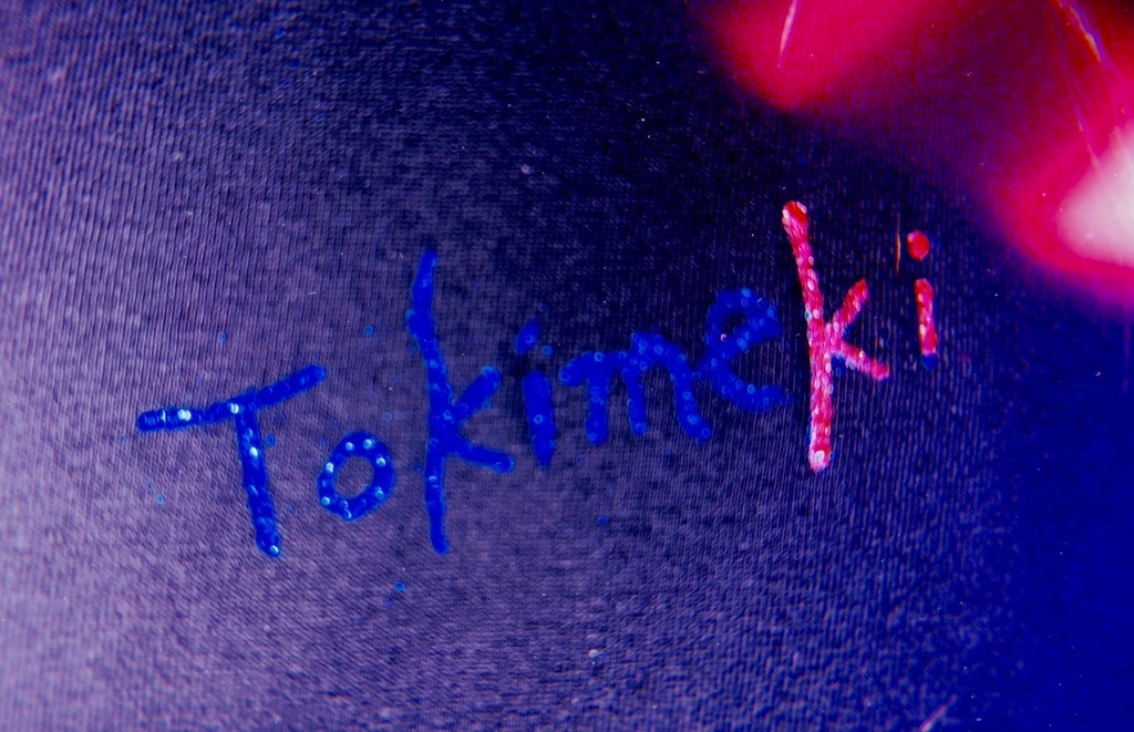 ときめきロングスリーブ