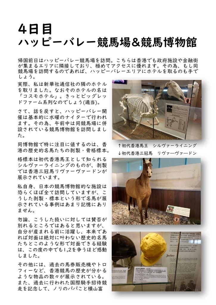 海外競馬オタクによる香港競馬観戦記【紙版】