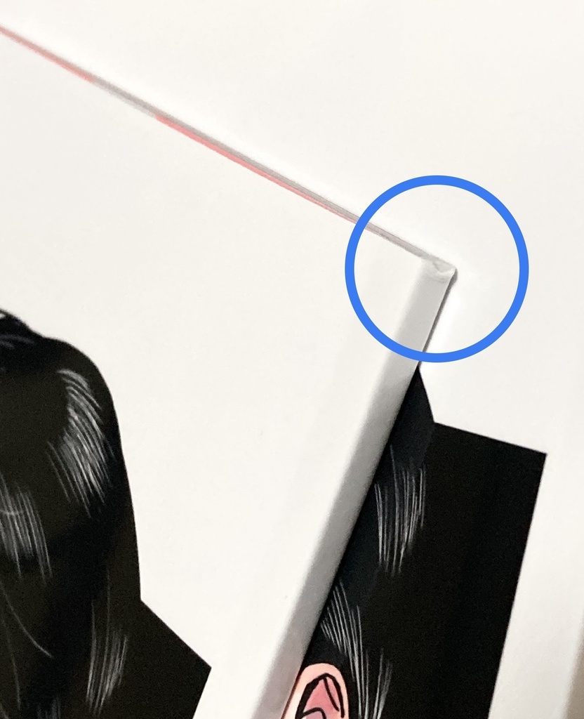 【⚠️B品】狂聡イラスト本『愛』