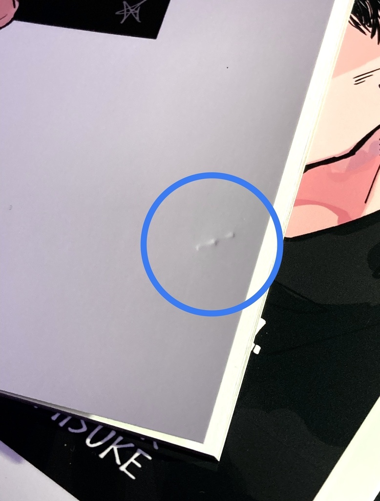 【⚠️B品】狂聡イラスト本『愛』