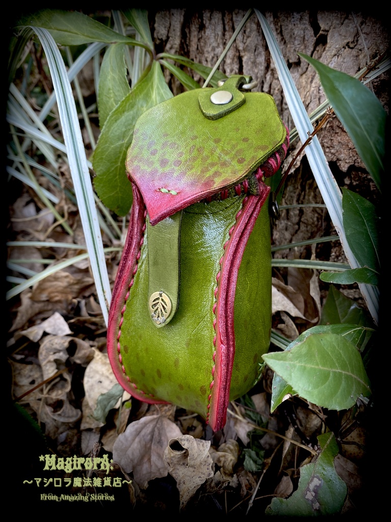 ウツボカズラのポーチ(渋緑)縁取り赤系