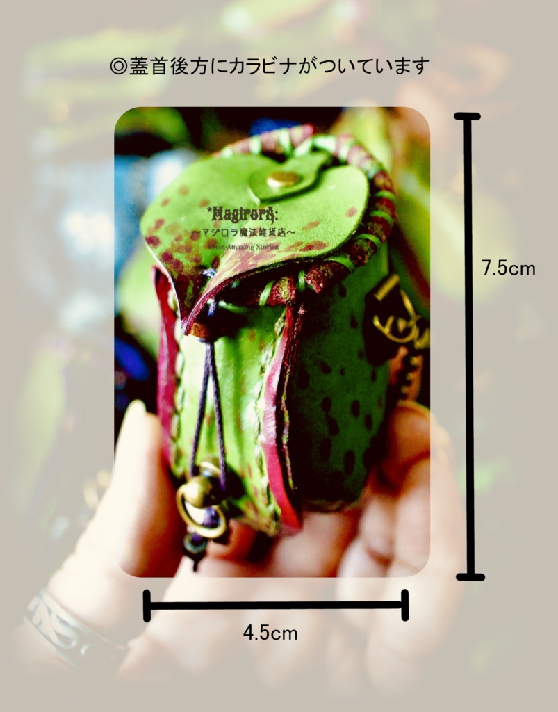 ウツボカズラのミニミニポーチ(渋緑)縁取り深緑系