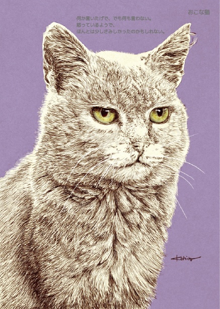 けなみ帖 vol.1|猫の細密ペン画ZINE(デジタル版/PDF)
