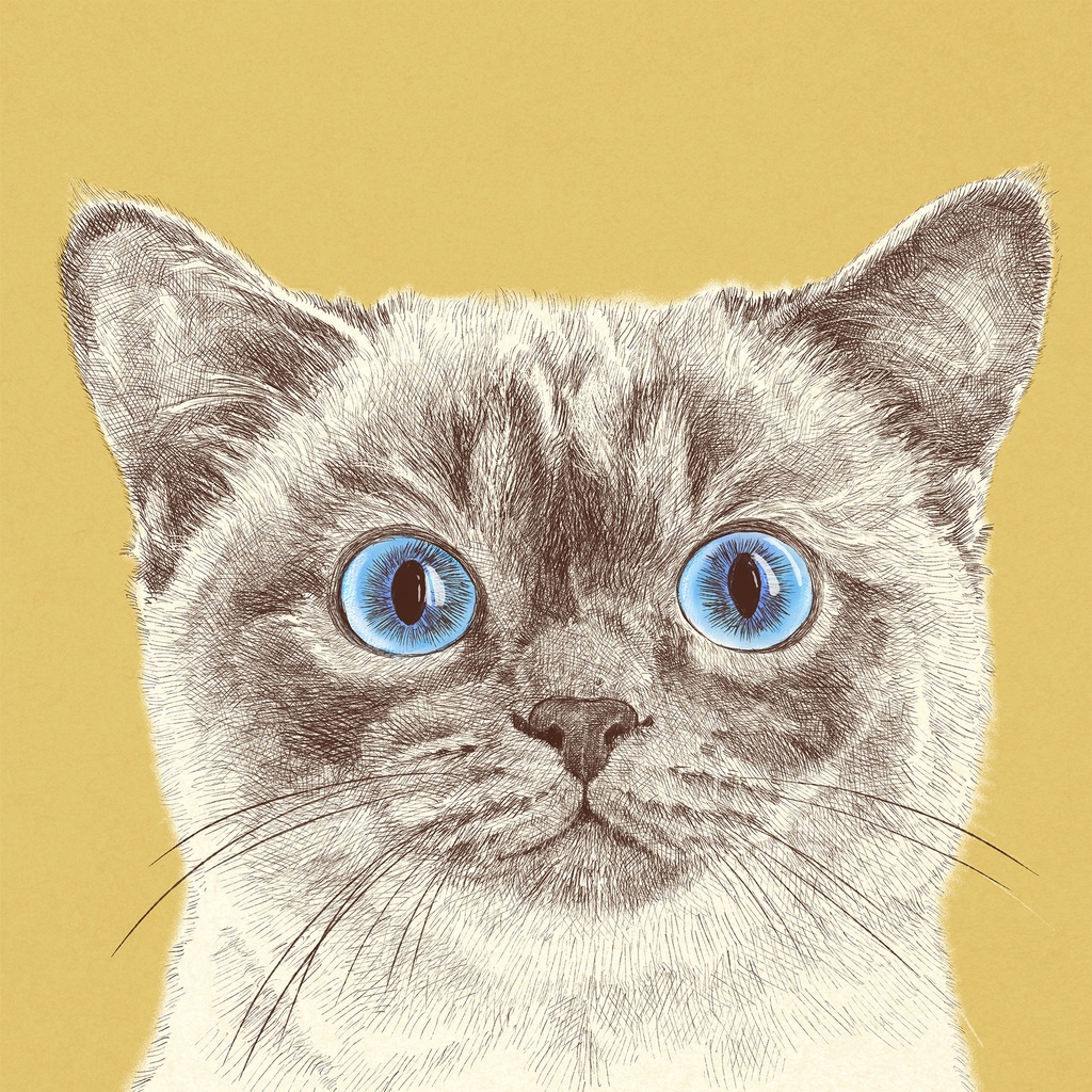 《見ているだけの猫》