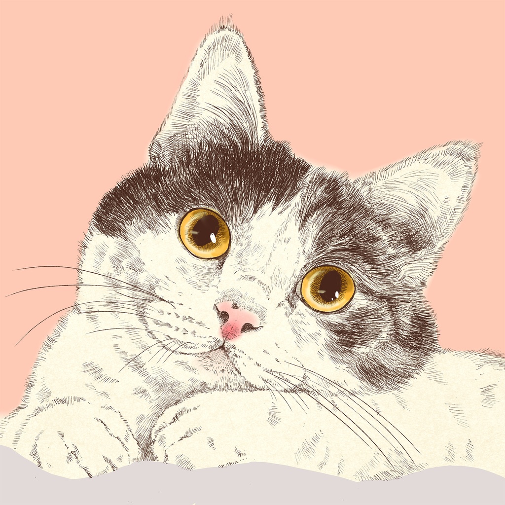 《ちょっとだけな猫》