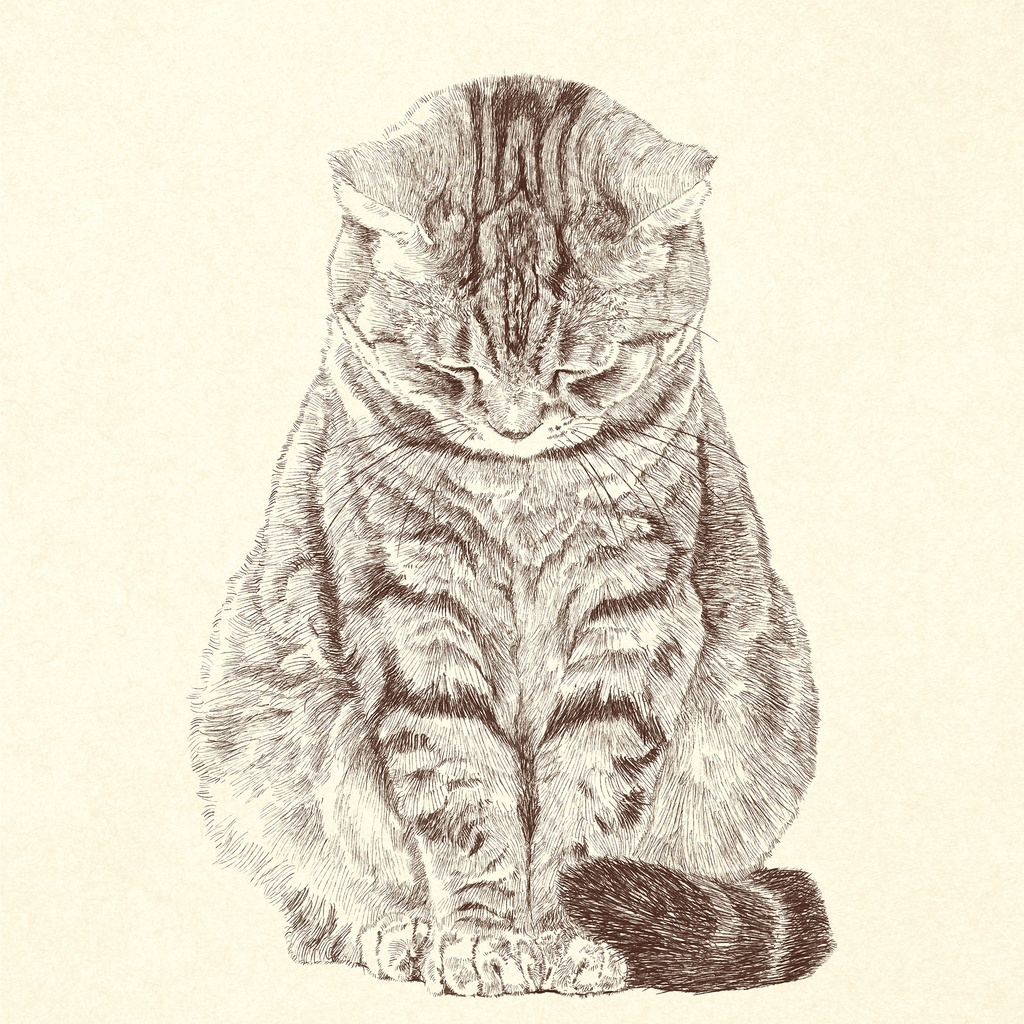 ごめんねな猫|きっかけは向こうからやってくる(デジタルアート)