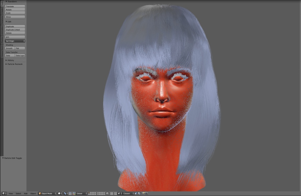 Blender顔の作例本 Blenderだけを使って顔を作るチュートリアル