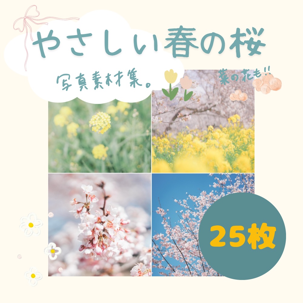 やさしい春の桜 写真素材集｜ソメイヨシノ・河津桜・しだれ桜・菜の花（25枚）