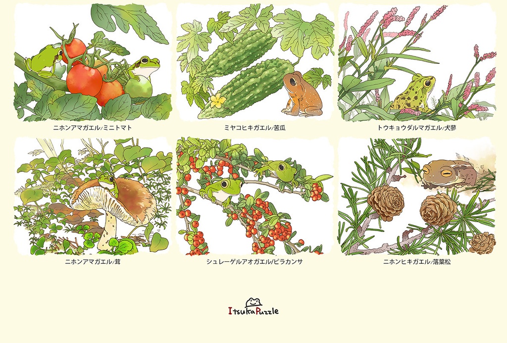 蛙暦2019 ポスター