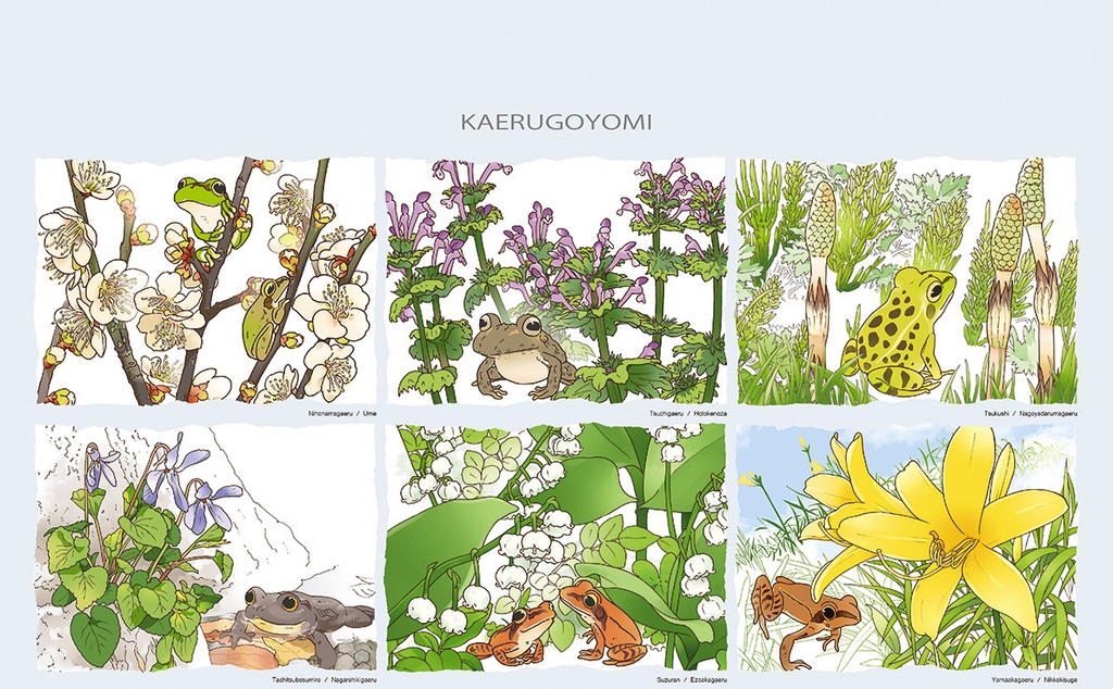 蛙暦2020 ポスター