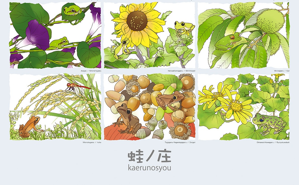 蛙暦2020 ポスター