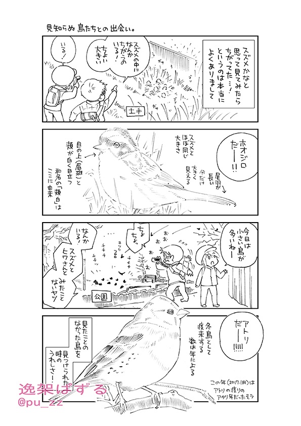 【終了】とりさんぽ・冬(鳥を見ながら散歩する本)【期間限定】