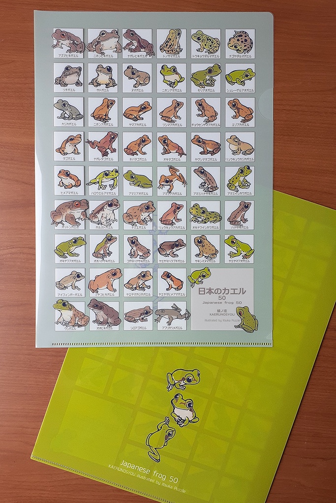 【完売】クリアファイルA4(日本の蛙50)【新作あり】