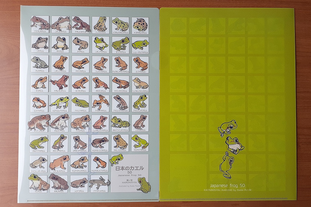 【完売】クリアファイルA4(日本の蛙50)【新作あり】