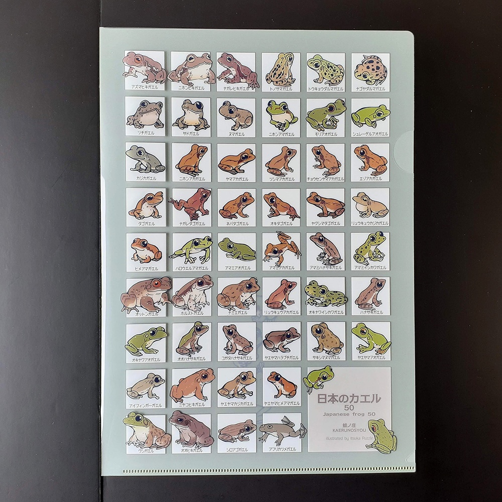 【完売】クリアファイルA4(日本の蛙50)【新作あり】