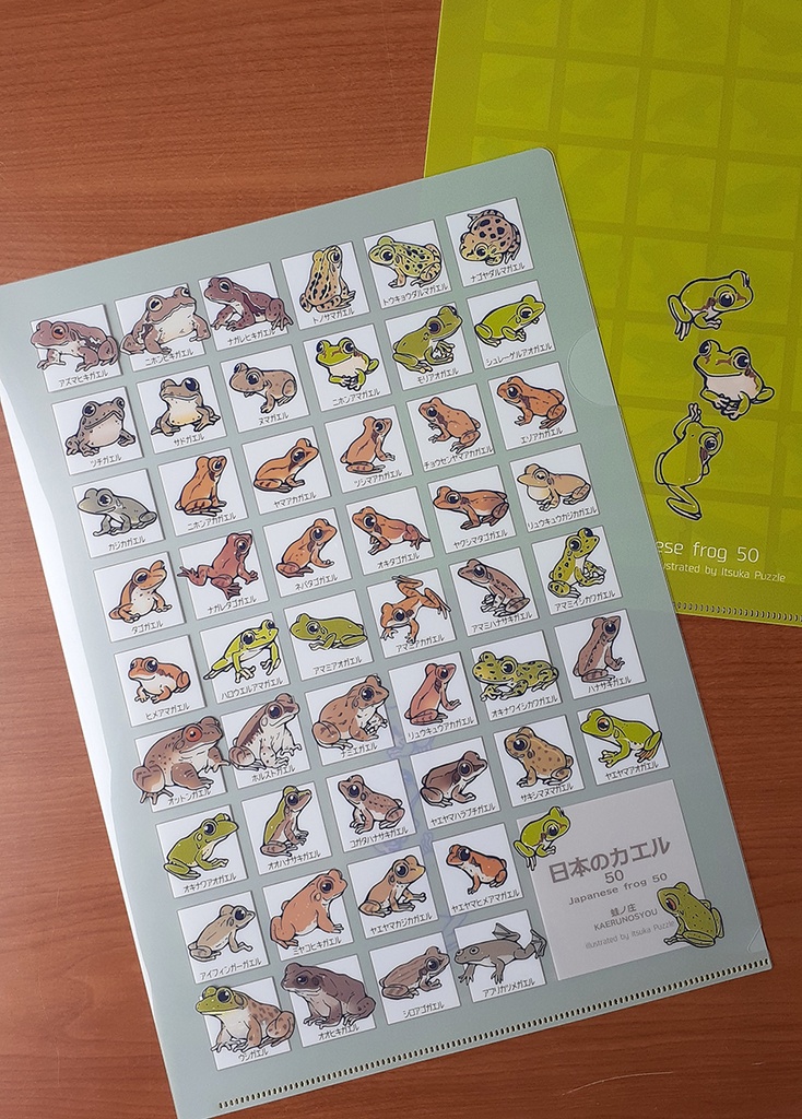 【完売】クリアファイルA4(日本の蛙50)【新作あり】