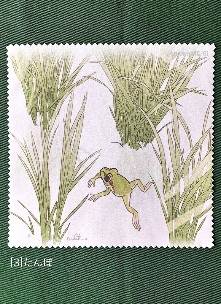 メガネ拭き3 カエルと植物2