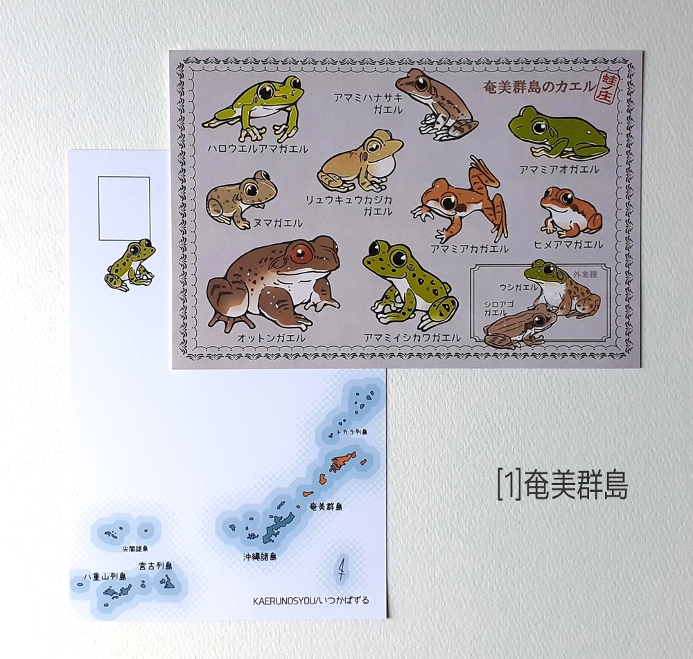 ポストカード 琉球弧のカエル