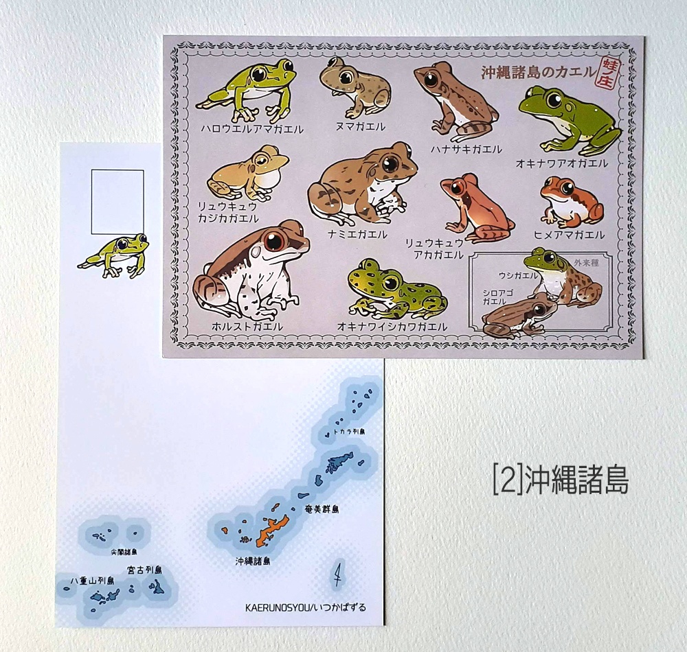 ポストカード 琉球弧のカエル
