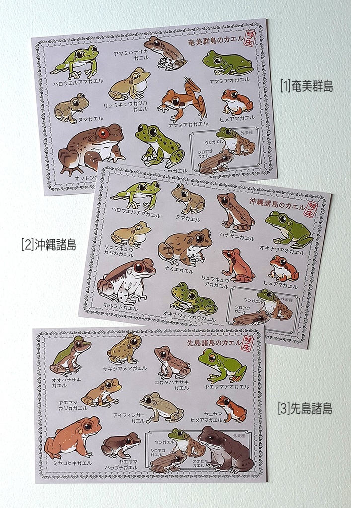 ポストカード 琉球弧のカエル