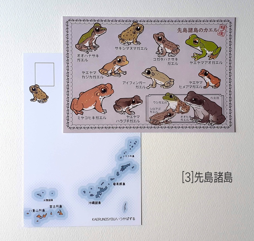 ポストカード 琉球弧のカエル